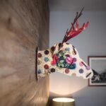 camere29
